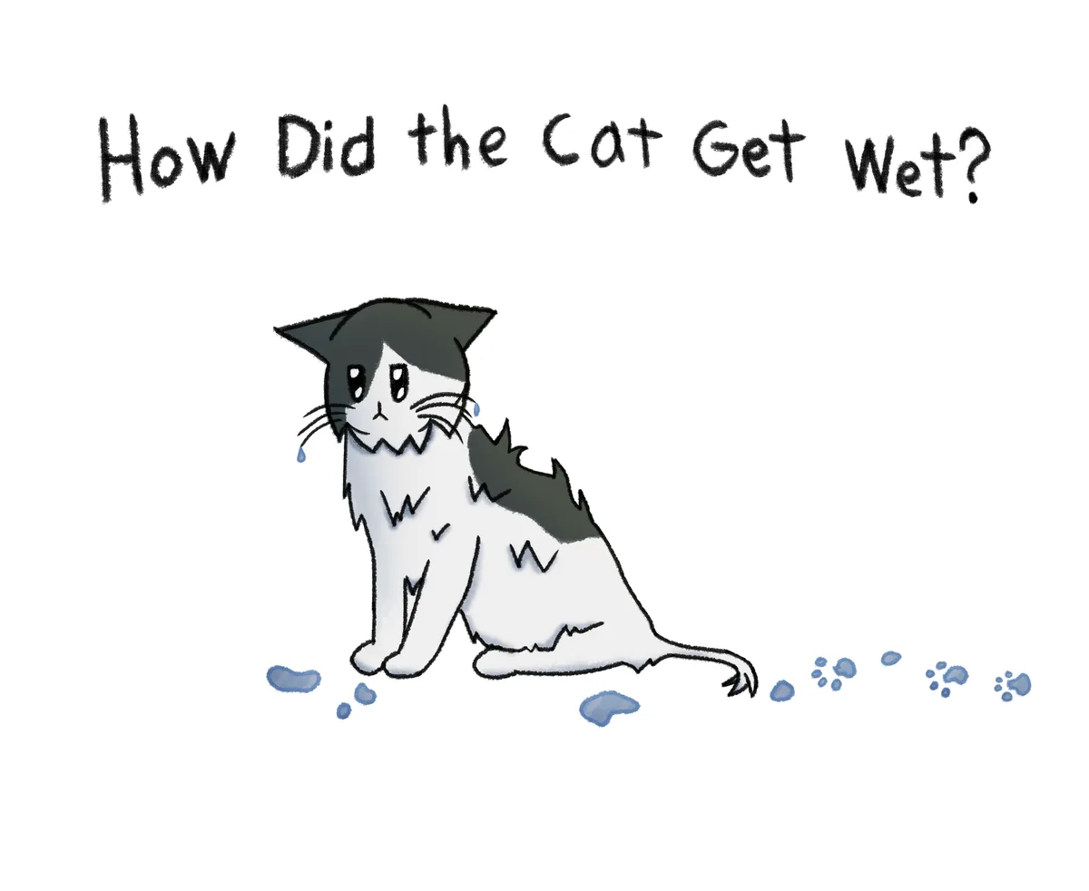 How Did the Cat Get Wet?: the cover