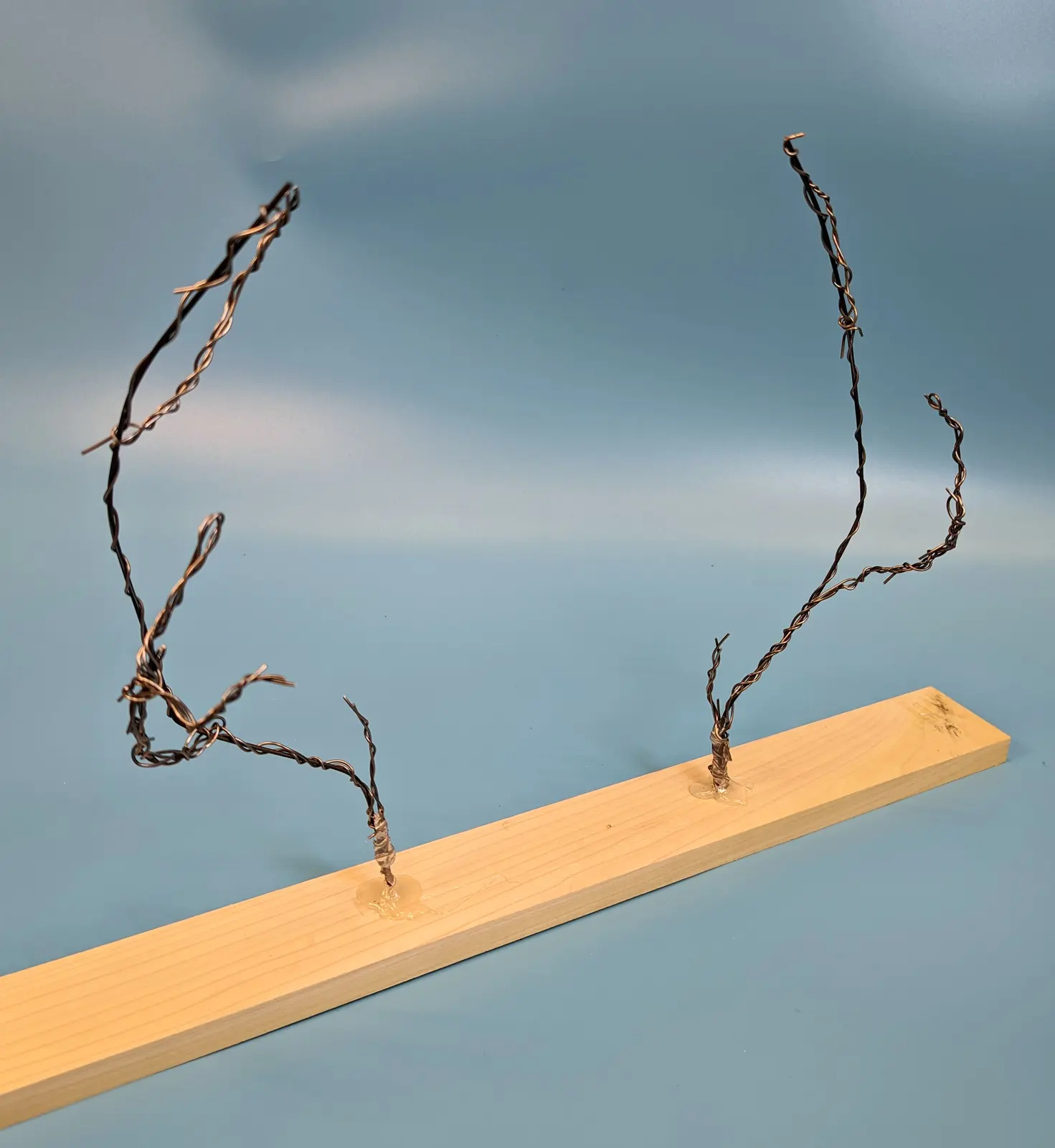 Antlers: process photo 1