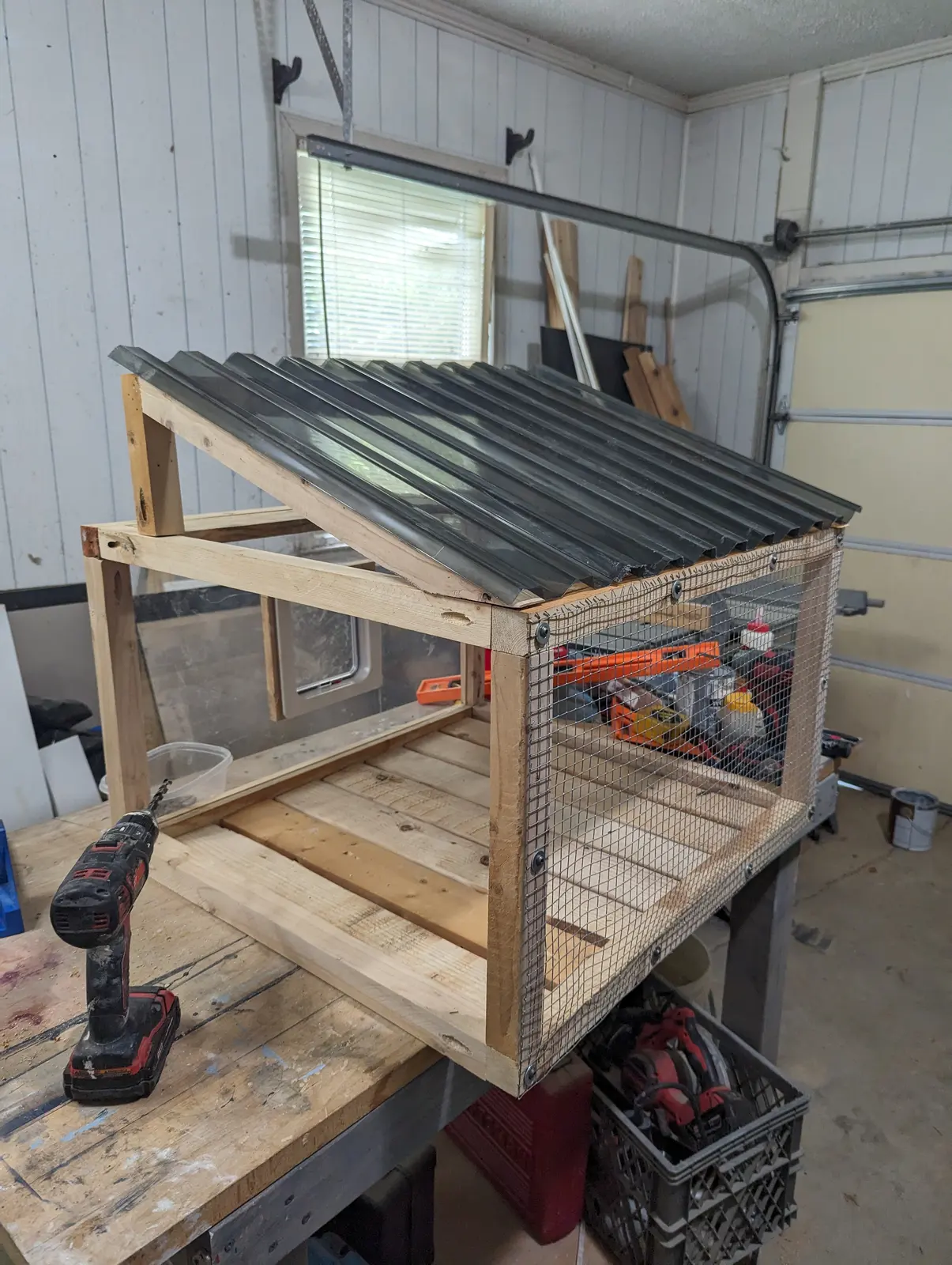 Catio: process photo 1