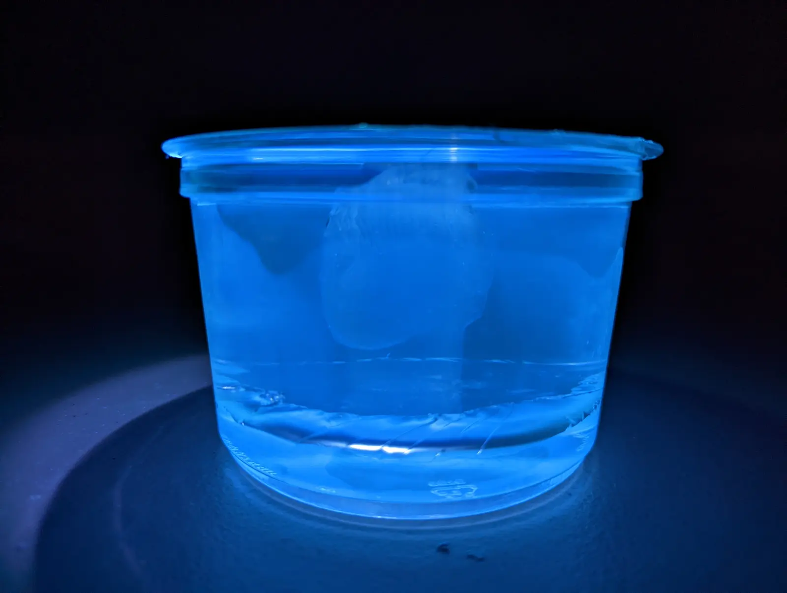 Hologram Casting: finished photo 1