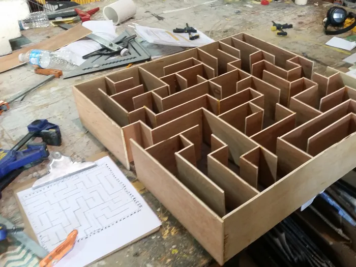 Mouse Maze
